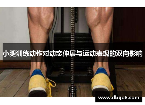 小腿训练动作对动态伸展与运动表现的双向影响